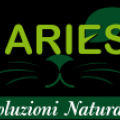 aries_logo