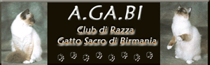 A.ga.Bi