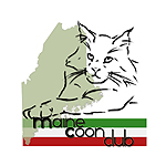 Maine Coon Club
